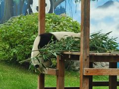 -鄂尔多斯野生动物园