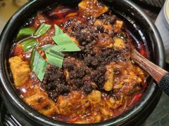 -陈麻婆豆腐(旗舰店)