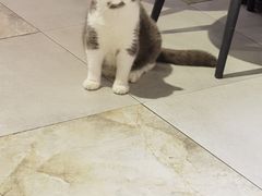 -犇牛记·鲜牛肉火锅