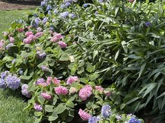 -常州古运河南大街文化旅游区-人民公园