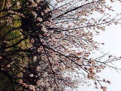 iphone_upload_pic-林屋洞景区