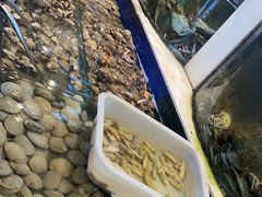 -海天盛宴新派海鲜自助餐厅(群力店)