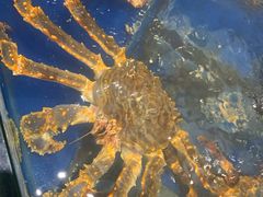 -海景壹号大酒店(滨湖店)