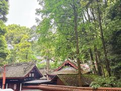 -凤栖山