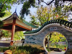 -荔湾湖公园