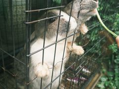 -慢丽江·云南野生菌土鸡锅(付家庄店)