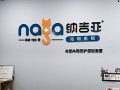 -纳吉亚猫专科动物诊疗中心(蒋宅口分院)
