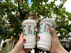 -茶颜悦色(金茂览秀城LG层外街店)