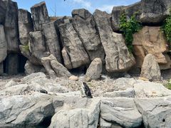 -上海野生动物园