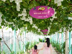 -上海嘉定喜来登酒店