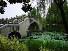 -尚贤河湿地