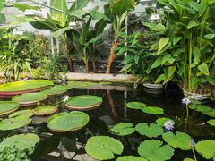 -国家植物园南园