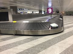 -米兰马尔彭萨国际机场