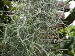 -北京植物园-展览温室