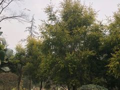 -金海湾滨江公园