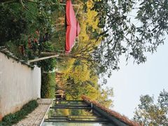 -洪湖家庭农场·团建·露营·会议