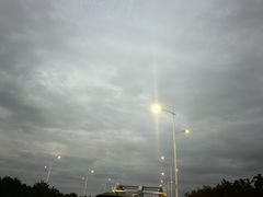 -春花秋色城市公园