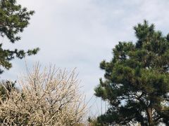-东湖生态旅游风景区