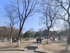 -南京市江宁方山