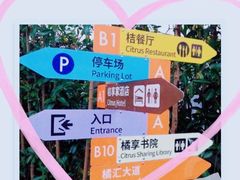 -前小桔亲子创意农场·草莓采摘·露营烧烤