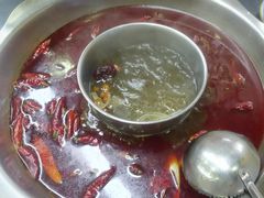 -金鼎雪山牦牛杂火锅(理县总店)