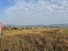 -敕勒川草原