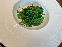 -觀芷隐轩