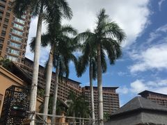 -亚马逊丛林水乐园