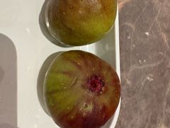 -漫·汤泉