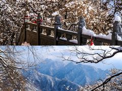 -秦岭风景区