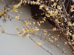 -无锡梅园公园