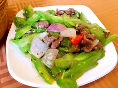 -新城餐厅(吉祥北街店)