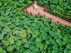 -清漾毛氏文化村