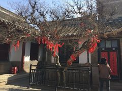 -牟氏庄园