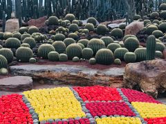 -南通洲际绿博园