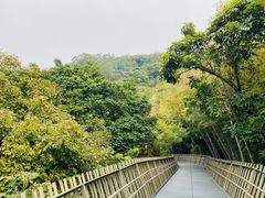 -福道