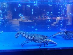 -AZUR聚(香格里拉饭店)