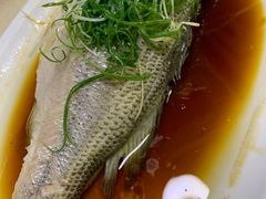 -老字号蛇口德记烧腊饭店·海鲜加工