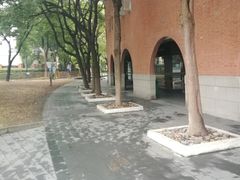 门面-江湾体育中心游泳馆