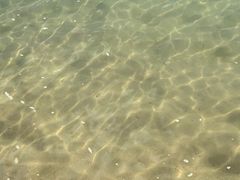 -巴拉湾海滩