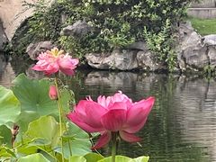 -杭州西湖柳莺里酒店·闻莺厅