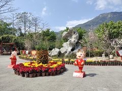 -牛鱼嘴原始生态风景区