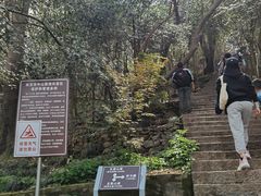 -紫金山山顶公园