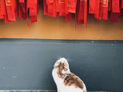 -龙华寺