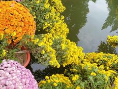 -杭州植物园