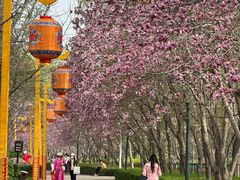 -洛阳市隋唐城遗址植物园