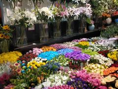-双季花艺园艺市场(浦东店)
