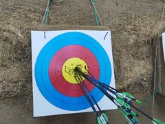 -道顺射箭·团建·骑射(张杨路店)