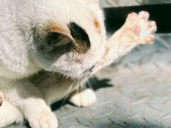 -佛山华盖山公园