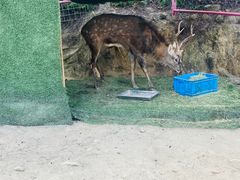-汕尾铜鼎山旅游区